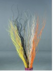 dried flowers d-f061